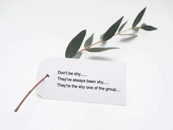 Quote about shyness