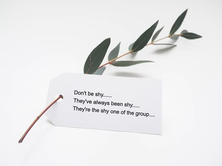 Quote about shyness